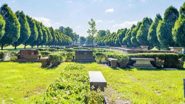 2025 Cemetery Field Day